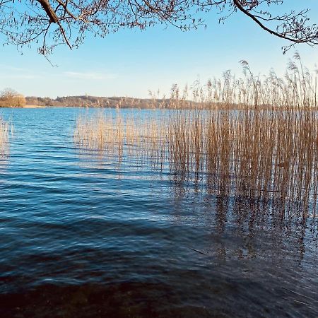 Landhaus Am See App. 2 Ponitz am See Dış mekan fotoğraf