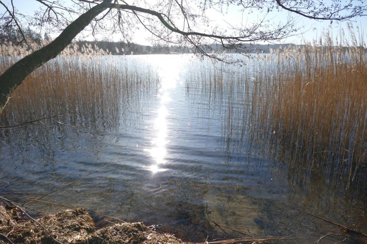 Landhaus Am See App. 2 Ponitz am See Dış mekan fotoğraf